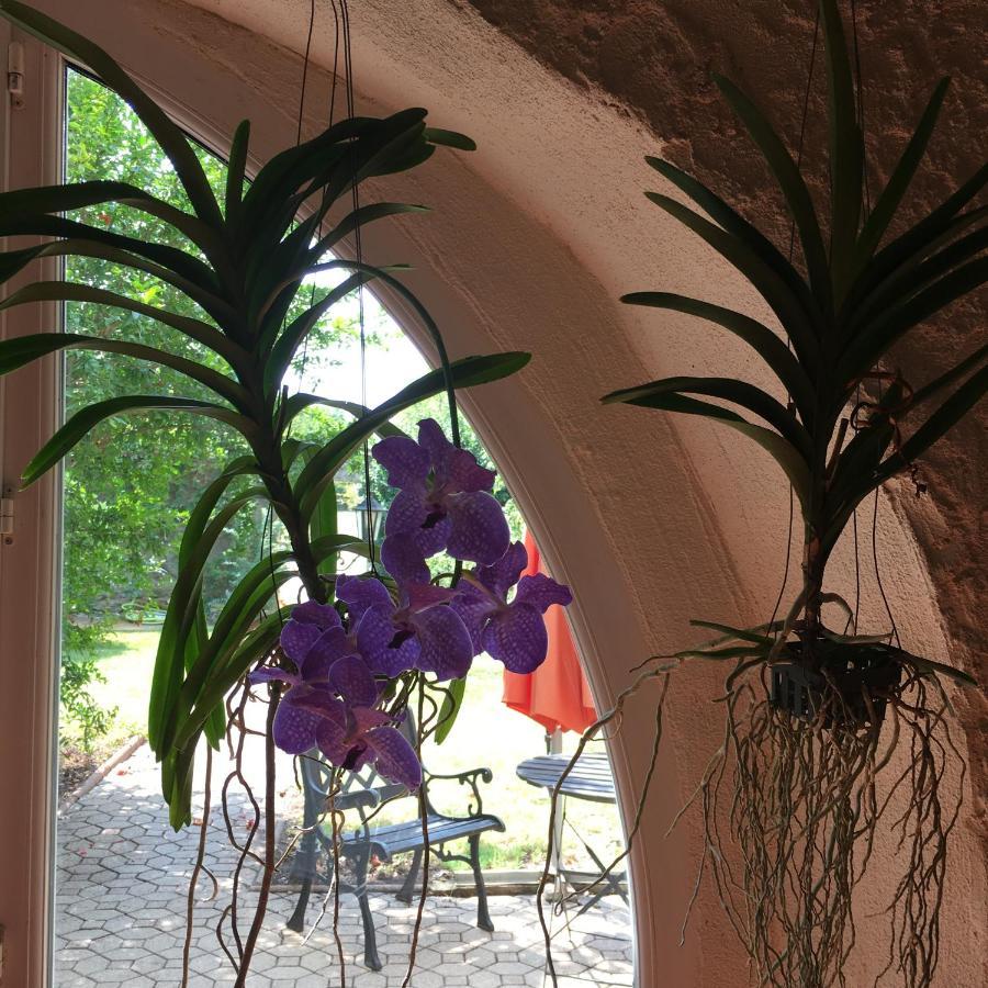 La Mandarine Acomodação com café da manhã Piolenc Exterior foto